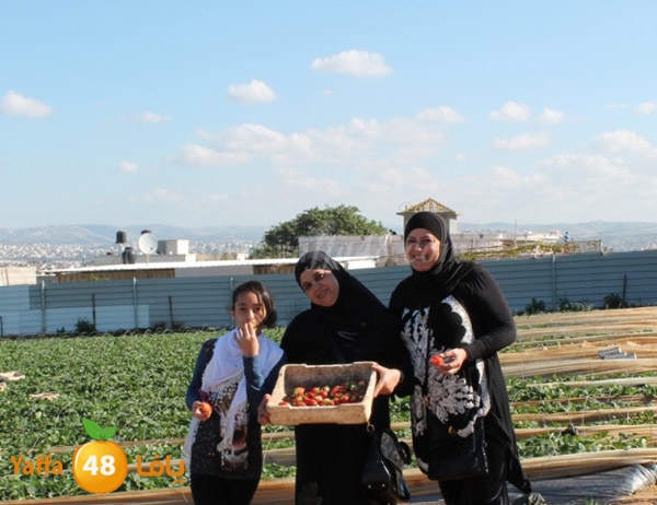 re7la tolkarem (86).JPG